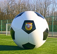 Мяч арсенал, фото
